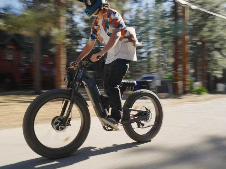 Warrior Pro M-530 - FREESKY eBike UK
