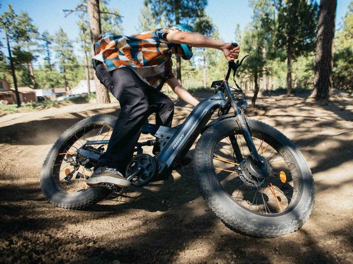 Warrior Pro M-530 - FREESKY eBike UK